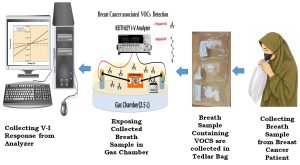 Sensor Device for Early Detection of Breast...