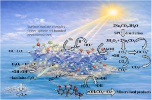 Metal-Free Light-Driven Activation of Sodium Percarbonate on...
