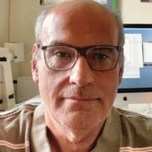 Prof. Corrado Di Natale